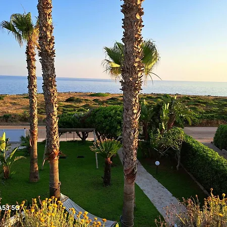Mare 3*